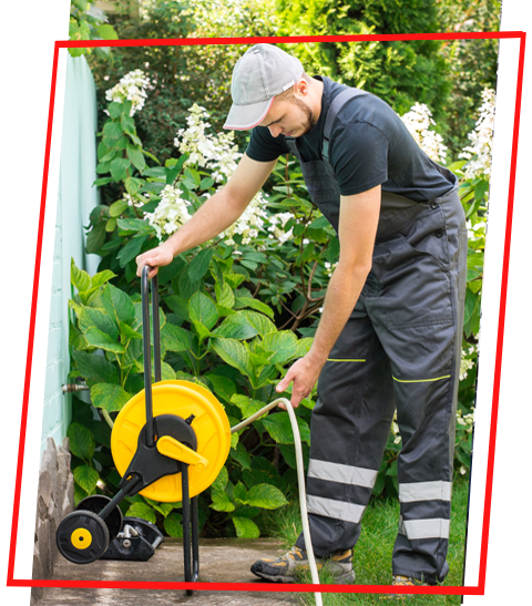 Jardinagem Terceirizada em São Paulo - Manutenção de áreas verdes